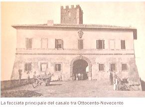 cervelletta_antica01