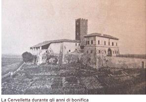 cervelletta_antica2